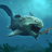鲨鱼恐龙模拟器 V1.0.1 安卓版