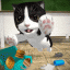 猫咪模拟器 V4.7.1 安卓版