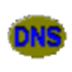 DNSDataView(DNS记录批量查询) V1.60 绿色中文版