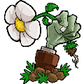 植物大战僵尸英文版带花园版 V1.0 PC免费版