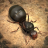 蚂蚁地下王国 V1.9.0 安卓版