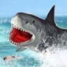 鲨鱼的疯狂吞噬 V2.07 安卓版