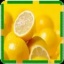 柠檬及其对健康的益处提醒 2.0.0 安卓版