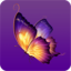 蝴蝶视频app旧版