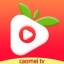 草莓视频免费无限看下载安卓app