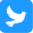 小蓝鸟彩虹 V1.0.1 安卓版