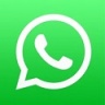 正版whatsapp V1.0.1